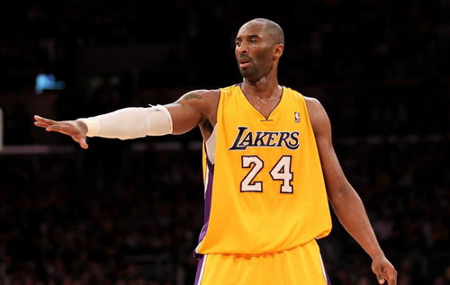 NBA直播在线观看免费球迷网 现场画面