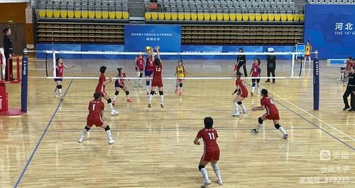 咪咕体育网页版入口官网下载 封面图