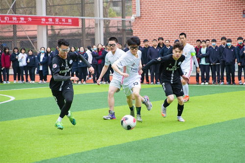 360直播nba常规赛 封面图
