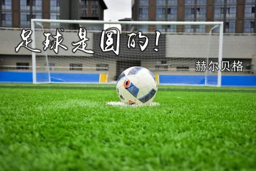 一线队吃饭得排队 申花那年的另类“433”了解一下