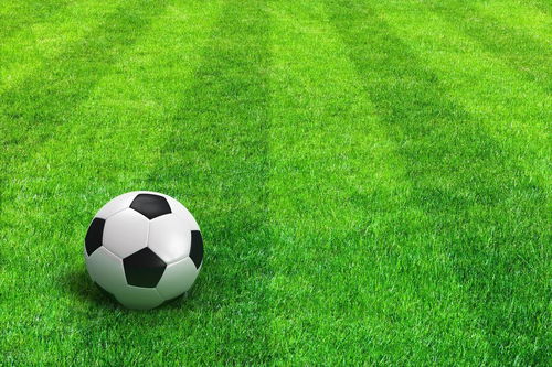 意甲：劳塔罗世界波 国米4-0乌迪内斯领跑积分榜