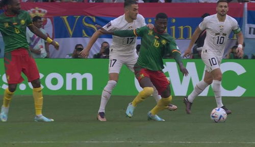 赵殿军