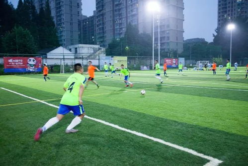 盘点中超看点：土帅斗法土哨执法 本土球员展身手